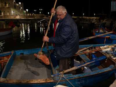 Da quel momento avviene tutto in pochissimi secondi. La luce della lampara illumina la zona, Giuseppe cala in acqua la fiocina e la ritira su con un grosso pesce infilzato
